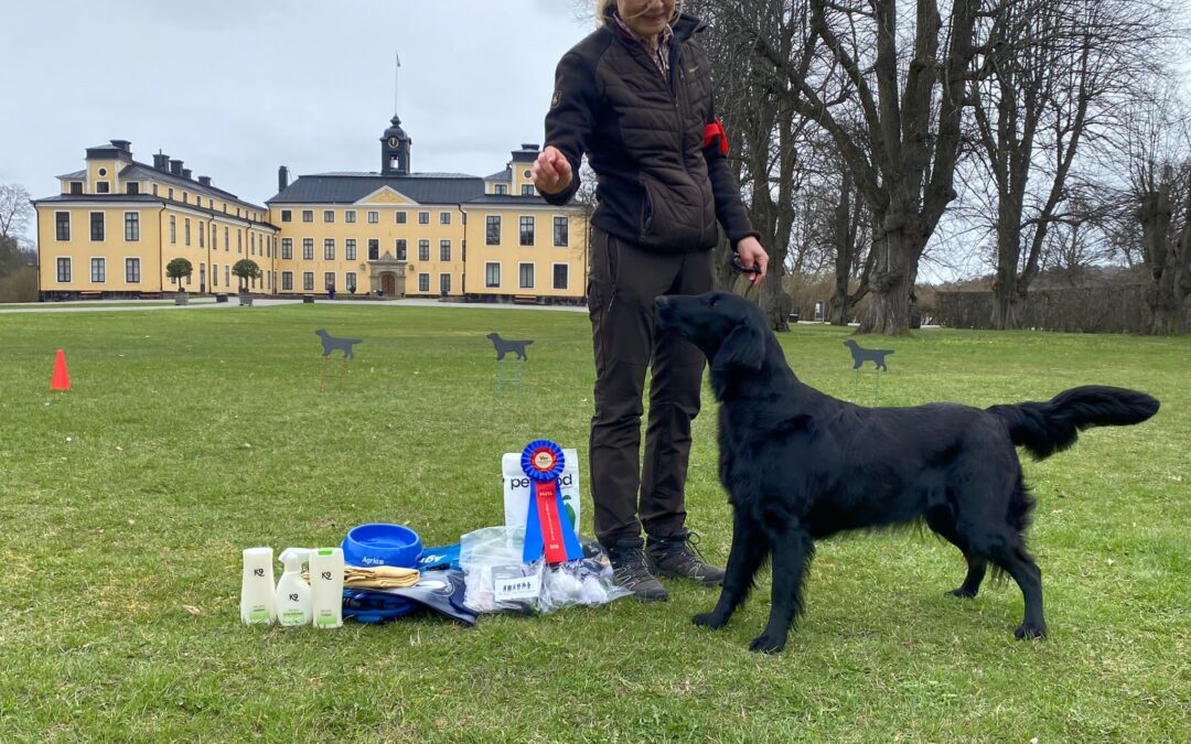 Bästa Jakt Ulriksdal 2023